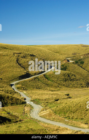 Straße durch Grasbüscheln in der Nähe von Lake Mahinerangi Otago Neuseeland Südinsel Stockfoto