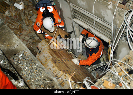 Rettungshunde auf ein realistisches Training in Schutt und Asche. Stockfoto