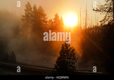 Sonnenaufgang und Morgen Nebel, Yellowstone-Nationalpark, Wyoming, USA, Vereinigte Staaten von Amerika Stockfoto