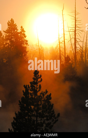 Sonnenaufgang und Morgen Nebel, Yellowstone-Nationalpark, Wyoming, USA, Vereinigte Staaten von Amerika Stockfoto