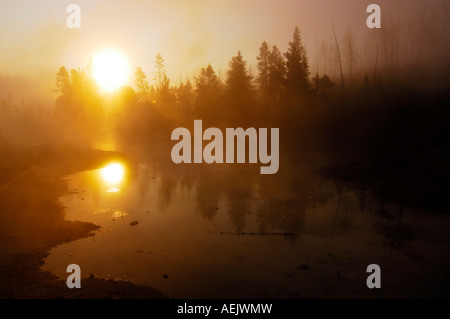 Sonnenaufgang und Morgen Nebel, Yellowstone-Nationalpark, Wyoming, USA, Vereinigte Staaten von Amerika Stockfoto