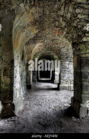 Im ehemaligen Kloster zu Fuß auf der Ruine Hohentwiel, Hegau, Baden-Wuertttemberg, Deutschland Stockfoto