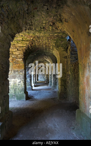 Gehen Sie in das Kloster der Ruine Hohentwiel, Singen am Hohentwiel, Landkreis Konstanz, Deutschland Stockfoto