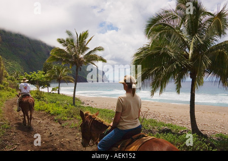 Paar auf Molokai Mule Ride Tour in Kalaupapa National Historic Park Molokai Hawaii Strand entlang reiten Stockfoto