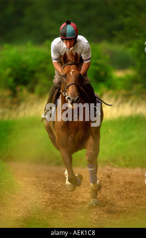 PERSIAN PUNCH ARBEITEN IM WHITSBURY MANOR STALL IN DER NÄHE VON SALISBURY MIT REISEN KOPF LAD PETER MAUGHAN JULI 2003 Stockfoto