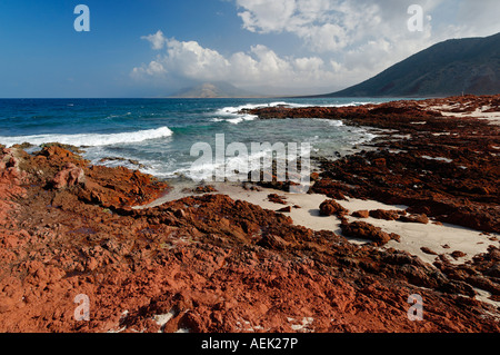 Cape Di Hamri, Insel Sokotra, Jemen Stockfoto