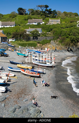 Cadgwith Dorf- & Fischerhafen an Lizard Halbinsel auf der South West Coast Path gesehen von oben kleine Boote am Strand bei Flut Cornwall GROSSBRITANNIEN Stockfoto