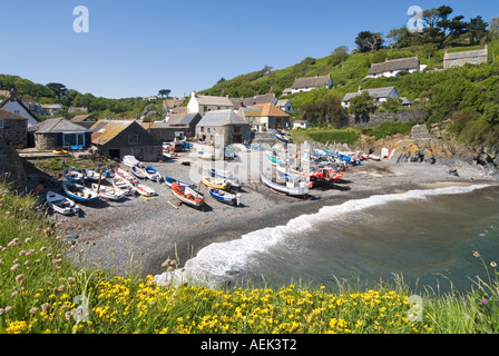 Cadgwith Dorf- & Fischerhafen an Lizard Halbinsel auf der South West Coast Path gesehen von oben kleine Boote am Strand bei Flut Cornwall GROSSBRITANNIEN Stockfoto