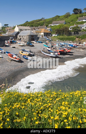 Cadgwith Dorf- & Fischerhafen an Lizard Halbinsel auf der South West Coast Path gesehen von oben kleine Boote am Strand bei Flut Cornwall GROSSBRITANNIEN Stockfoto