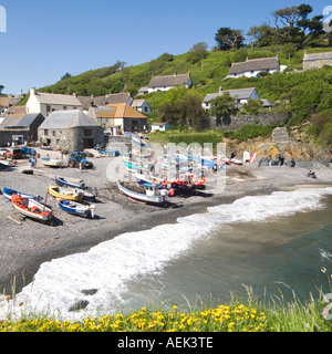 Cadgwith Dorf- & Fischerhafen an Lizard Halbinsel auf der South West Coast Path gesehen von oben kleine Boote am Strand bei Flut Cornwall GROSSBRITANNIEN Stockfoto