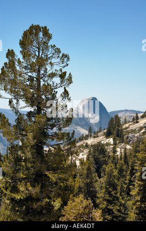 Ansicht des Half Dome von Olmsted Point im Yosemite National Park Stockfoto