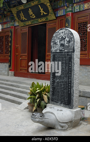 Steinbildhauen außerhalb eine exquisit eingerichtete Gebäude von Wo lange Si (der Tempel des Drachen schlafen), Xian, Shaanxi, China. Stockfoto