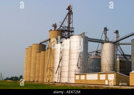 ILLINOIS Arcola Getreidesilos neben Eisenbahn Spur in kleinen Mittelwesten Stadt Landwirtschaft und Viehzucht Gemeinde Stockfoto