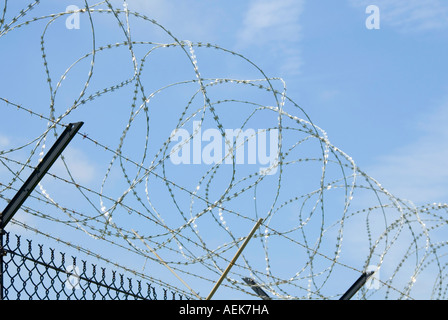 RNAS Culdrose Razor Edelstahldraht gewickelt entlang Oberseite der Perimeter Maschendrahtzaun standard Barbwire vermehren Stockfoto