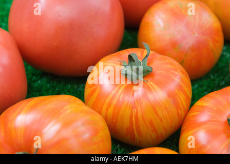 Farmers Market Queens Park North London Uk 2007. Tiger Rindfleisch Tomaten (Mitte gestreift) Rosy Rindfleisch Tomaten Plain rot Stockfoto