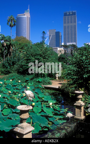 Royal Botanic Gardens in Sydney Stockfoto