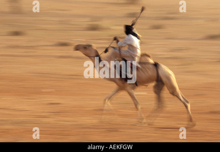 Mali, Anderamboukane in der Nähe von Gao, Mann der Tuareg Stamm Reiten Kamel Rennen Stockfoto