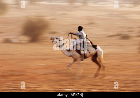 Mali, Anderamboukane in der Nähe von Gao, Mann der Tuareg Stamm Reiten Kamel Rennen Stockfoto