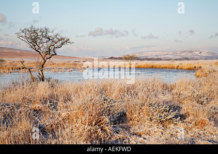 Breiter Pool Cefn Bryn Gower Halbinsel South Wales, Australia Stockfoto