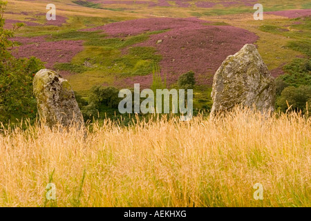 Standing Stones bei Colmealie, Glen Esk, Angus, Schottland Stockfoto