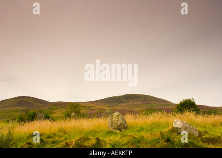 Standing Stones bei Colmealie, Glen Esk, Angus, Schottland Stockfoto