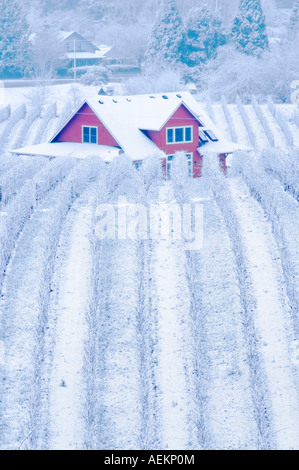 Sokol Blosser Weinberge mit Schnee und Farm Haus Oregon Stockfoto