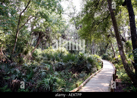 Boardwalk durch Sumpf Heiligtum in Florida Stockfoto