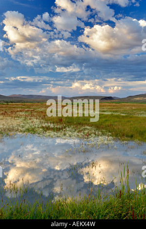 Sonnenuntergang Wolken über Teich Black Rock Desert National Conservation Area Nevada Stockfoto