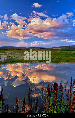 Sonnenuntergang Wolken über Teich Black Rock Desert National Conservation Area Nevada Stockfoto