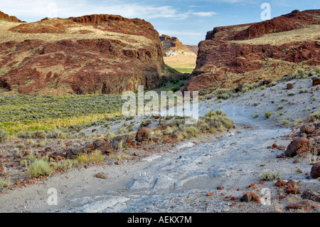 Allrad Antrieb Straße durch hohe Rock Canyon Black Rock Desert National Conservation Area Nevada Stockfoto