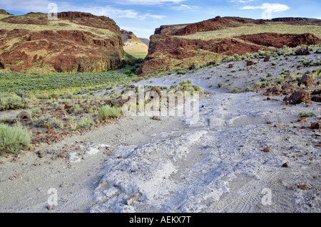 Allrad Antrieb Straße durch hohe Rock Canyon Black Rock Desert National Conservation Area Nevada Stockfoto