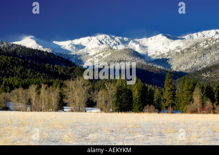 Verschneiten Weide und Elkhorn Palette Blue Mountains Oregon Stockfoto