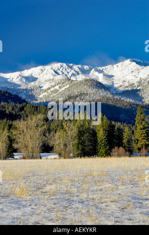 Verschneiten Weide und Elkhorn Palette Blue Mountains Oregon Stockfoto