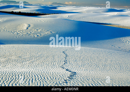 Fußspuren im Sand White Sands National Monument New Mexico Stockfoto