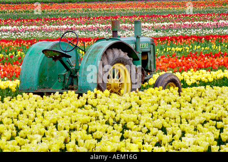 John Deer Traktor in Tulpe eingereicht hölzerne Schuh Tulip Farm Woodburn Oregon Stockfoto