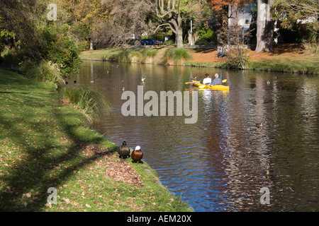 CHRISTCHURCH SÜDINSEL Neuseeland Mai Suche entlang dem Fluß Avon in den botanischen Gärten Stockfoto