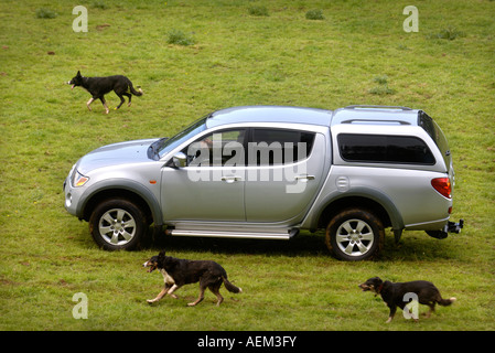 EIN SCHAFZÜCHTER FAHREN EINEN DOPPELKABINE PICKUP WÄHREND LÄMMER AUF EINE GLOUCESTERSHIRE FARM UK Stockfoto