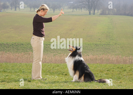 Frau und Collie - Dog Dancing Stockfoto