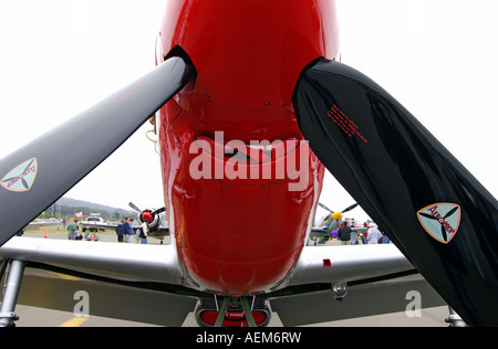 ↑ 1945 "North American P51D Mustang"Ridge Runner III", genannt als Hommage an WW2 Fliegerass, Kalifornien, USA. Stockfoto