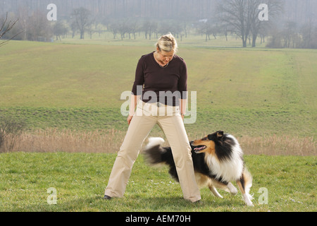 Frau und Collie - Dog Dancing Stockfoto