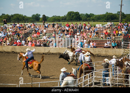 ILLINOIS Grayslake Kalb binden Rodeo-Veranstaltung am Lake County Fair Zuschauer Tribüne Pferde und Reiter im ring Stockfoto