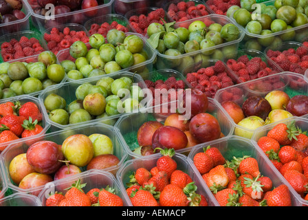 Bio-Obst frisch UK lokal angebauten Farmers Market "Queens Park" North London Uk Stockfoto