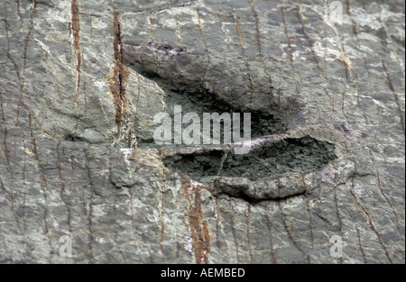 Cal Orko Berg Dinosaurier Fußabdrücke ein beliebtes-Trip von Sucre 65 bis 85 Millionen Jahre alten druckt schließen sich print Boliviens Stockfoto