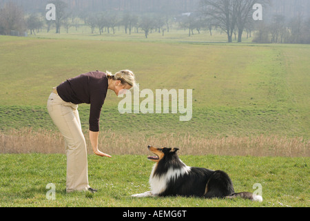 Frau und Collie - Dog Dancing Stockfoto