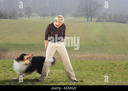 Frau und Collie - Dog Dancing Stockfoto