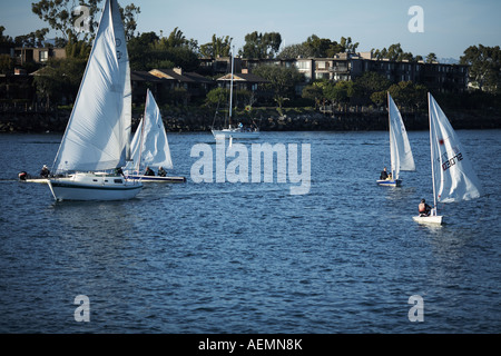 UCLA Segelboote Praxis in Marina del Rey, Los Angeles County, Kalifornien, USA Stockfoto
