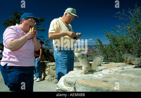 Übergewichtige weibliche Touristen ist einen Hot Dog Essen und ein Grundeichhörnchen schaut ihr Grand Canyon South rim Arizona Usa Stockfoto