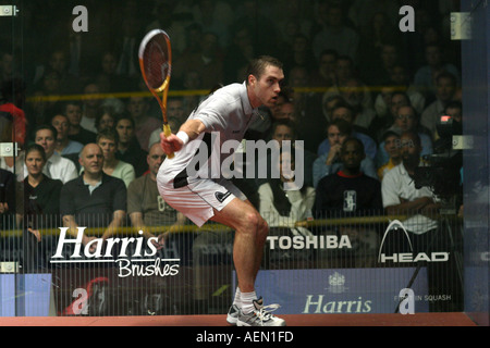 6. November 2004 British Open Squash Meisterschaften Finale Tag Harris British Open Squash Turnier Men s letzte 3 David Palmer Stockfoto