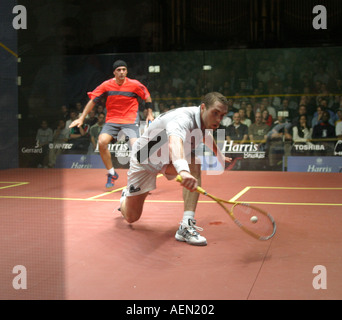 6. November 2004 British Open Squash Meisterschaften Finale Tag Harris British Open Squash Turnier Men s letzte 3 David Palmer Stockfoto