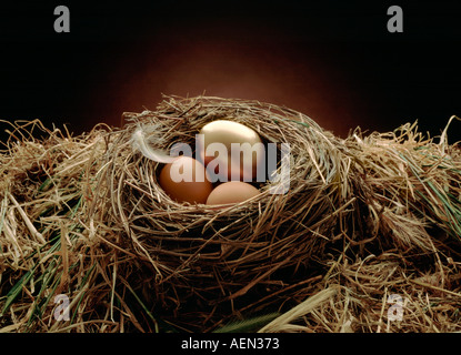 Goldenes Ei im Nest, Nest egg Stockfoto